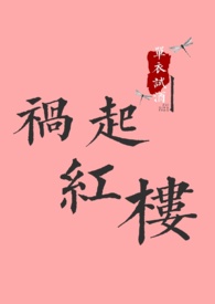 祸起萧墙小说